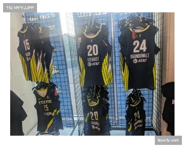 达拉斯飞翼队新主场建设获批,预计2028赛季投入使用